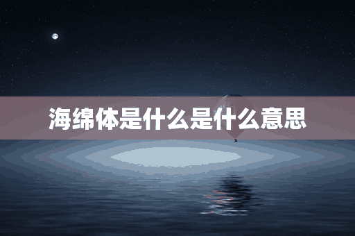 海绵体是什么是什么意思